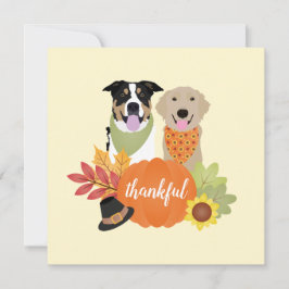 Tack och lov Hundar Thanksgiving Harvest Pumpkins