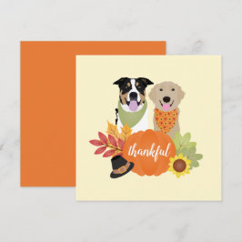 Tack och lov Hundar Thanksgiving Harvest Pumpkins