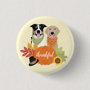 Tack och lov Hundar Thanksgiving Harvest Pumpkins Knapp
