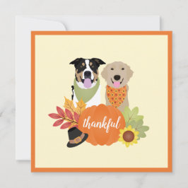 Tack och lov Hundar Thanksgiving Harvest Pumpkins Kort
