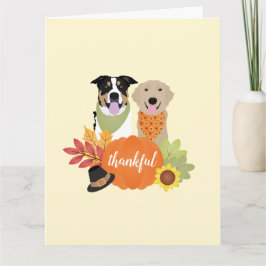 Tack och lov Hundar Thanksgiving Harvest Pumpkins Kort