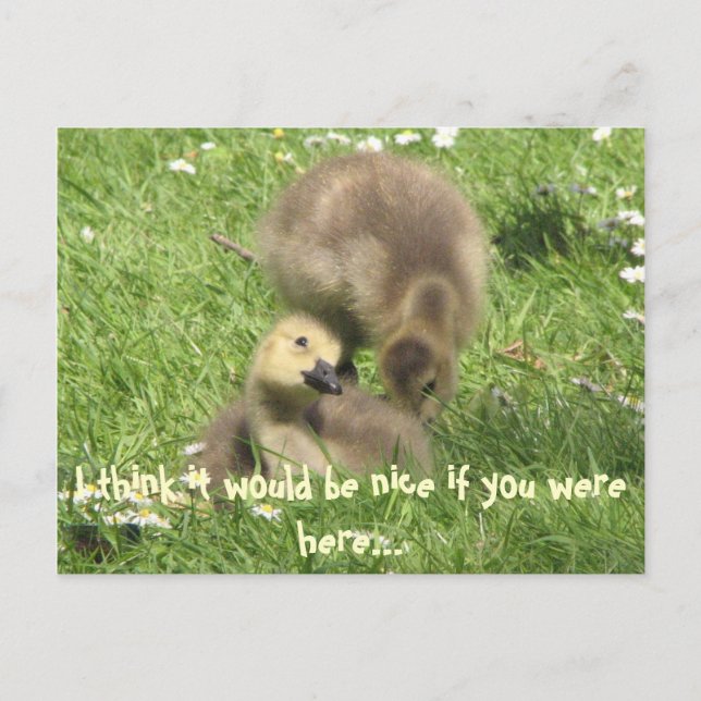 Tack om du var här... vykort (Framsida)