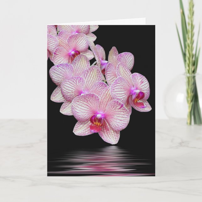 Tack Orchid Sympathy Card Kort (Framsida)