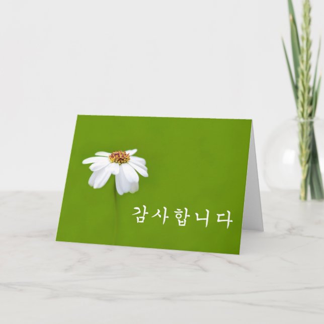 Tack på koreanska - vit daisy (Framsida)