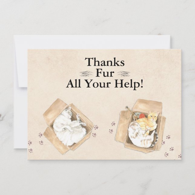 Tack Päls all hjälp! Katter i boxar, Tack (Framsida)