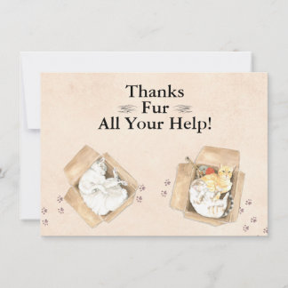 Tack Päls all hjälp! Katter i boxar, Tack