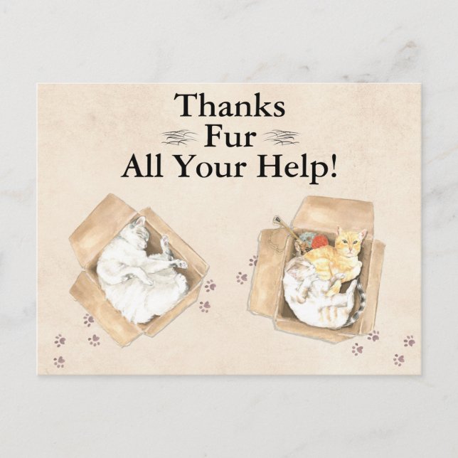 Tack Päls all hjälp! Katter i boxar, Tack Vykort (Framsida)