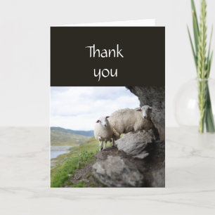 Tack, pastor Shepherd Borttappad Flock Sheep Tack Kort