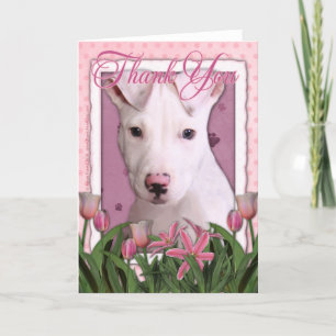 Tack - Pitbull Puppy - Petey Kort