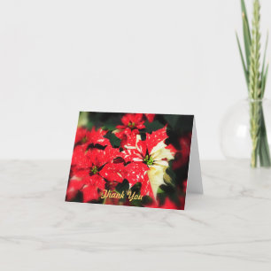 Tack Poinsettas Kort