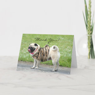 Tack Pug-hälsningskort Kort