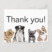 Tack Puppy, Corgi, Fransk Bulldog, Pomeranian