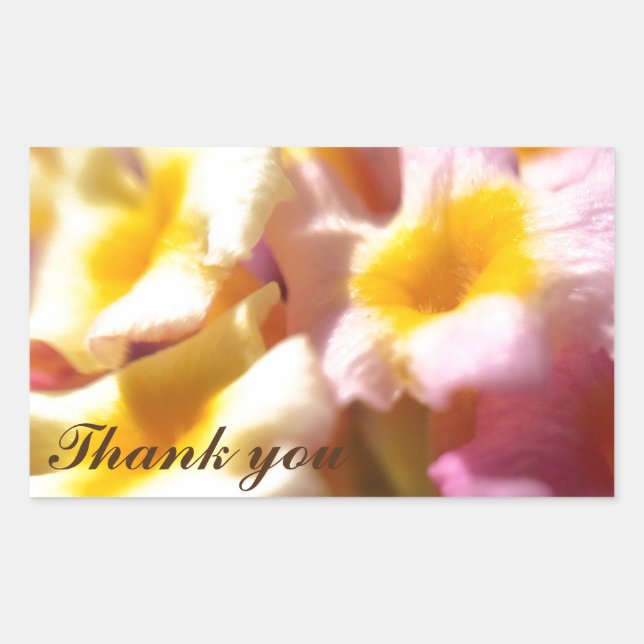 Tack Rektangulärt Klistermärke (Framsida)