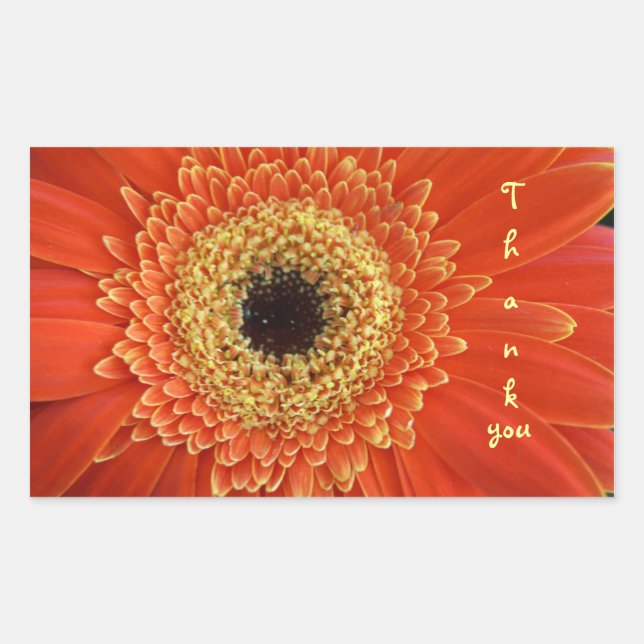 Tack Rektangulärt Klistermärke (Framsida)