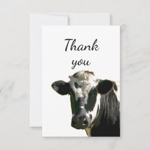 Tack Roligt Nyfiken Holstein Cow Peekout Kort
