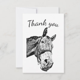 Tack Roligt Nyfiken Horse Farm Animal