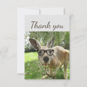 Tack Roligt Nyfiken Kangaroo Glass Animal Kort
