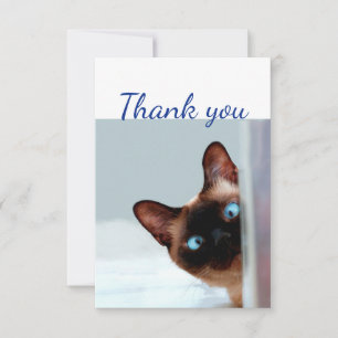 Tack Roligt Nyfiken Peeking Cat Kitten Animal Kort