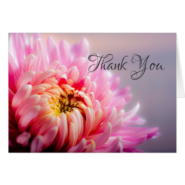 Tack Rosa Chrysanthemum Makro Photo Note Card OBS Kort (Framsidan Horizontal)