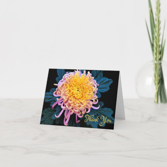 Tack rosa Chysanthemum noterar hälsningkortet Kort (Framsida)