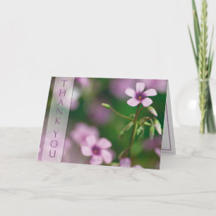 Tack - rosa hälsningkort för Wood Sorrel Kort