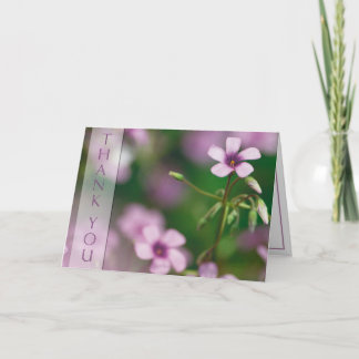 Tack - rosa hälsningkort för Wood Sorrel Kort
