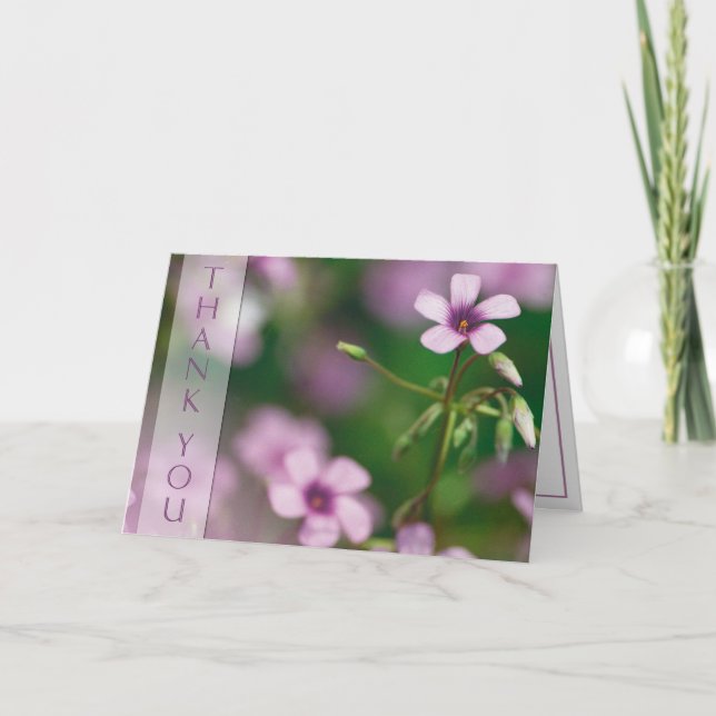 Tack - rosa hälsningkort för Wood Sorrel Kort (Framsida)