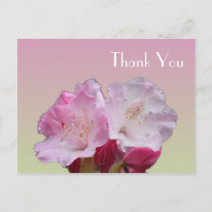 Tack, rosa Rhododendron-blommor Vykort