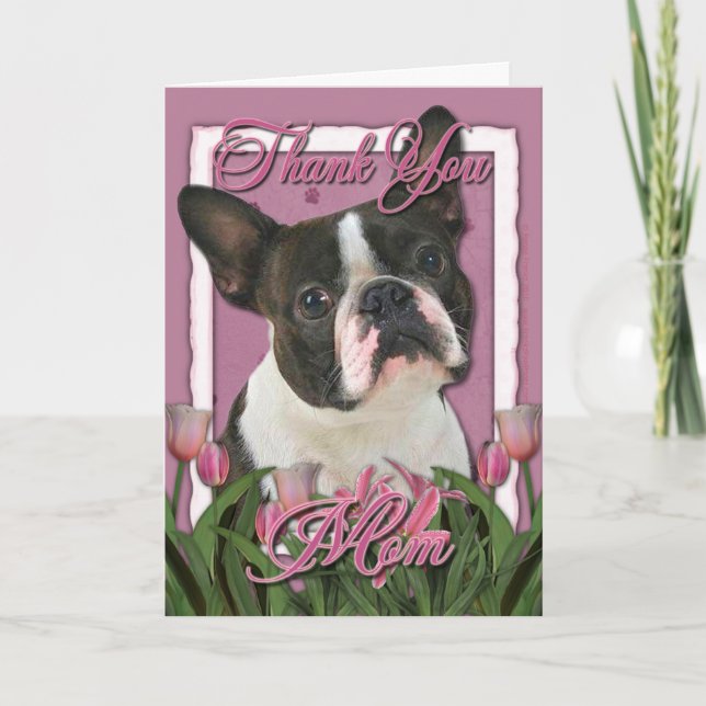 Tack - Rosa Tulips - Boston Terrier (Framsida)