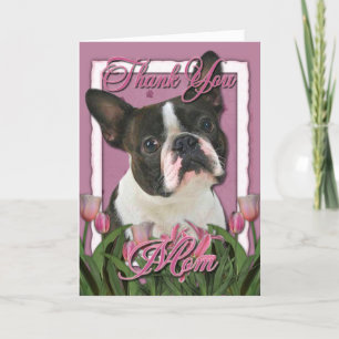 tack - Rosa Tulips - Boston Terrier