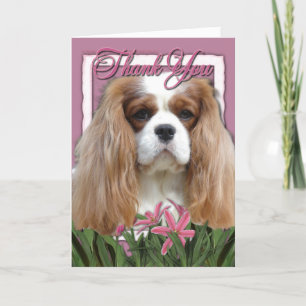 Tack - Rosa Tulips - Cavalier - Blenheim Kort