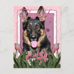 tack - Rosa Tulips - German Shepherd - Kuno Vykort