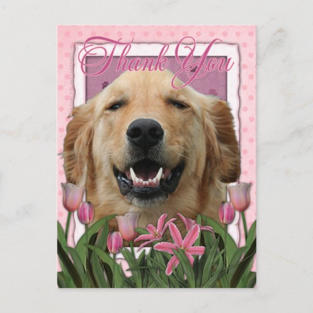 Tack - Rosa Tulips - Golden Retriever -Mickey Vykort (Framsida)