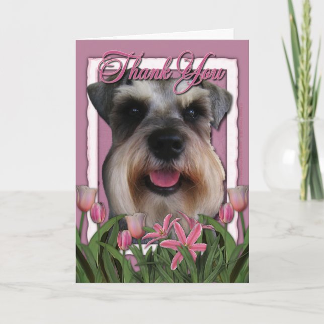Tack - Rosa Tulips - Schnauzer (Framsida)