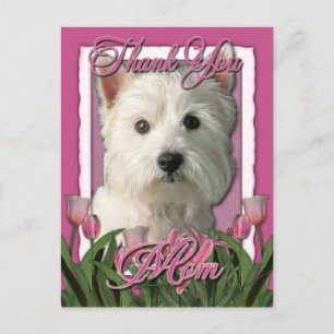 Tack - Rosa Tulips - Väster Highland Terrier Vykort