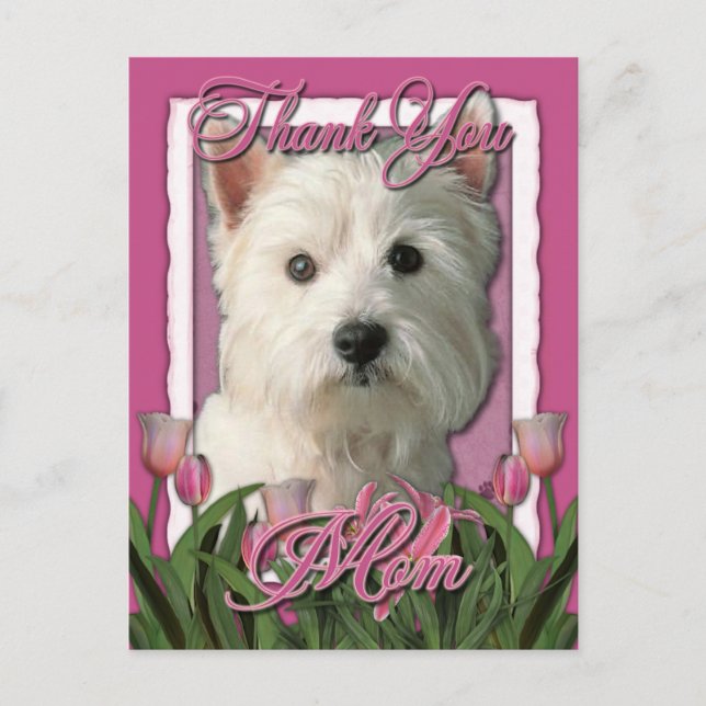 Tack - Rosa Tulips - Väster Highland Terrier Vykort (Framsida)
