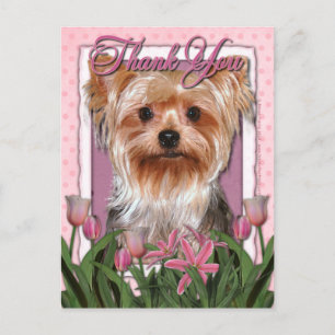 tack - Rosa Tulips - Yorkshire Terrier Vykort