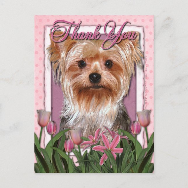 Tack - Rosa Tulips - Yorkshire Terrier Vykort (Framsida)