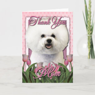 Tack - rosa tulpan - Bichon Frise Kort