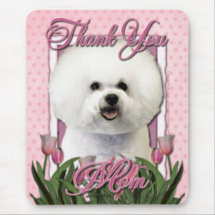 Tack - rosa tulpan - Bichon Frise Musmatta