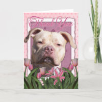 Tack - rosa tulpan - Pitbull - Jersey flicka