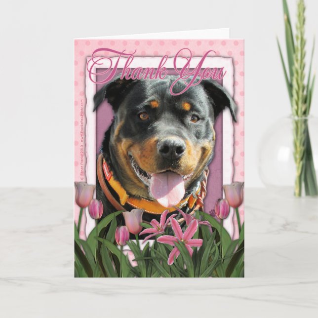 Tack - rosa tulpan - Rottweiler - SambaParTi (Framsida)