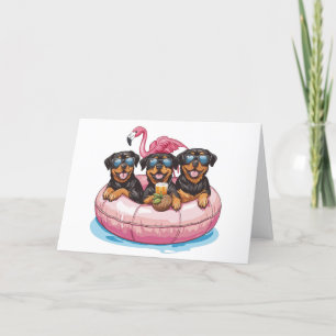 Tack Rottweiler Hundar Flamingo Bassäng Tube Kort