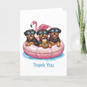 Tack Rottweiler Hundar Flamingo Bassäng Tube Kort