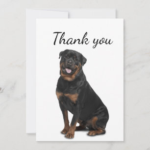 Tack Rotweiller Hund Pet Animal Kort