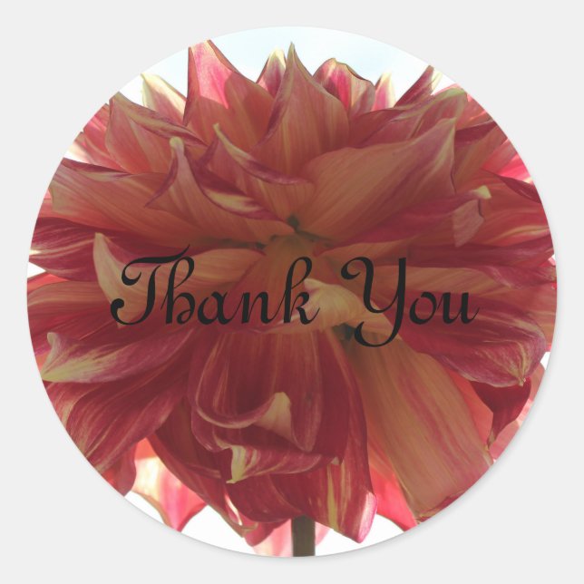 Tack Runt Klistermärke (Framsida)