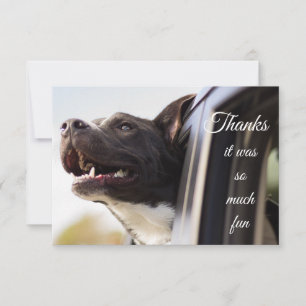 Tack så mycket för att Roligten Cute Hund ut ur fö Kort