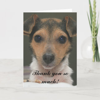 Tack så mycket, Hamlin!