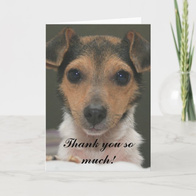 Tack så mycket, Hamlin! Kort (Framsida)