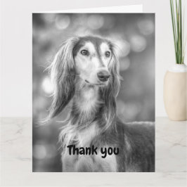 Tack Saluki Kort